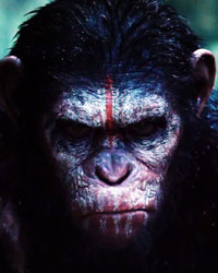 Dawn Of The Planet Of The Apes